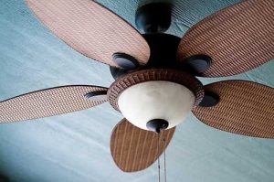 ceiling-fan