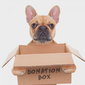 donate-to-your-local-animal-shelter